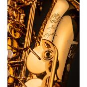 Selmer Signature verni gravé - Saxophone alto professionnel avec étui et bec complet