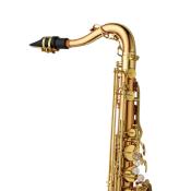 Yanagisawa T-WO20 ELITE - Saxophone ténor bronze verni, avec étui et bec complet