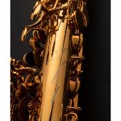 Selmer Signature argenté gravé - Saxophone alto professionnel avec étui et bec complet