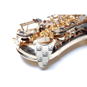BG A65SB - sèche tampons pour saxophone - boite de 20