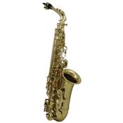 Roy Benson AS-202 - Saxophone Alto Student Series