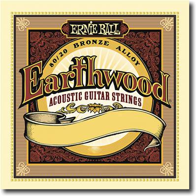 Ernie Ball Corde guitare folk Earthwood 48