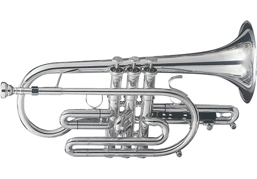 Getzen Eterna 800S - cornet Sib - argenté