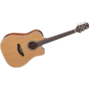 Takamine GD20CENS Guitare dreadnought Cutaway Electro