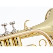 COURTOIS BELLECOUR - Cornet Sib verni