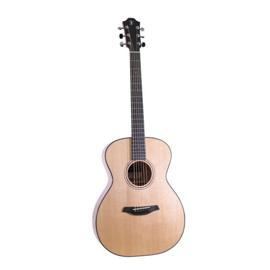 Guitare folk furch green orchestra sm