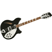 Rickenbacker 36012JG - demi-caisse 360/12 w/c jg