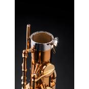 Selmer SUPREME - Saxophone tenor Brossé Gravé avec étui et accessoires