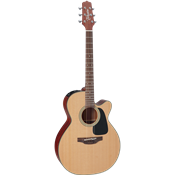 Takamine P1NC