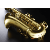 SML Paris A420-II -BM Saxophone Alto brossé verni mat