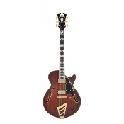 D'ANGELICO Deluxe SS Satin Brown Burst