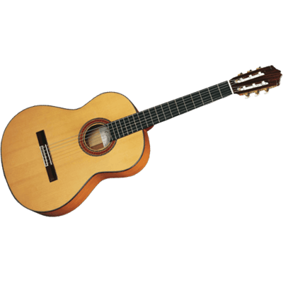 Cuenca 70-FC - epicéa allemand massif - cyprès massif