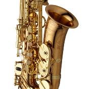 Yanagisawa A-WO20 ELITE - Saxophone Alto - Bronze verni