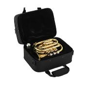 --- DISCONTINUE ---MTP T-210PT - Trompette de poche vernie, pavillon large