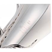 Besson PRODIGE BE165 - Euphonium 4 pistons (3+1) argenté avec étui sac à dos rigide