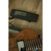 Vigier GV wood hollow body Walnut matte limited edition