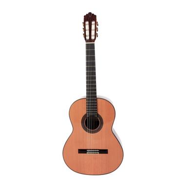 Guitare ClassiqueProdipe Soloist 900 - Lordel musique