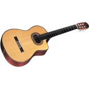 Takamine TH90 HIRADE E/A CTW EPICEA/PALISSAN