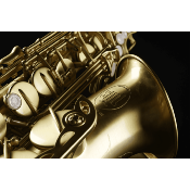 SML Paris A420-II -BM Saxophone Alto brossé verni mat