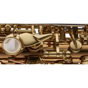 Yanagisawa S-WO1 PROFESSIONAL - saxophone soprano laiton verni or, avec étui et bec