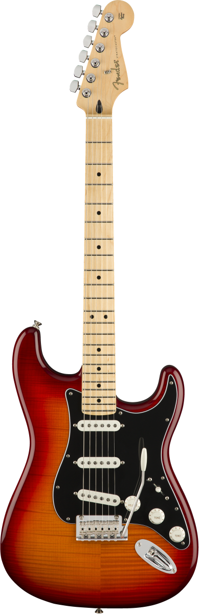 Fender Stratocaster Mexicaine Player Plus Top Antique Cherry Burst touche érable