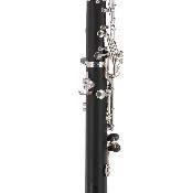 GEWA SANDNER KS10 - Clarinette Sib Résine 17 cLés avec étui