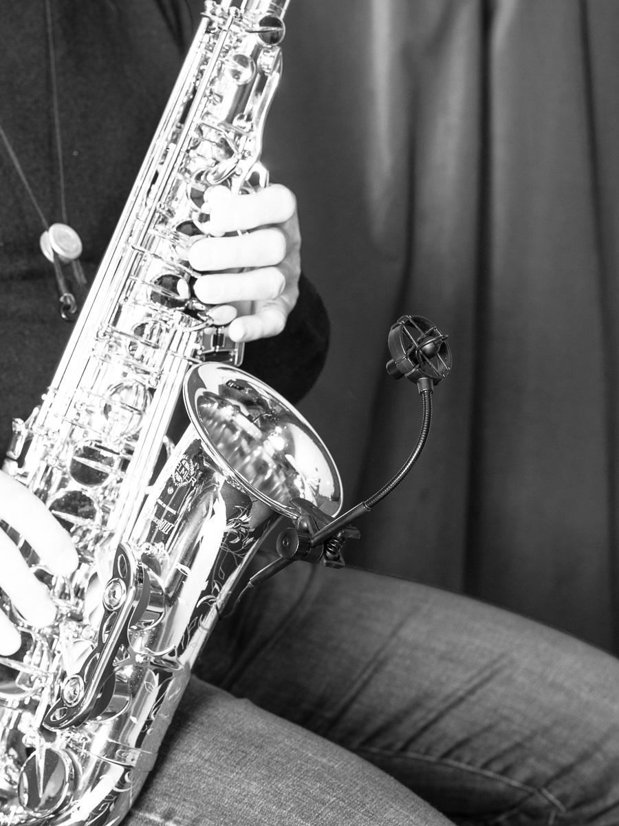 Prodipe SB21 Lanen Micro instruments à vent Saxophones et Cuivres