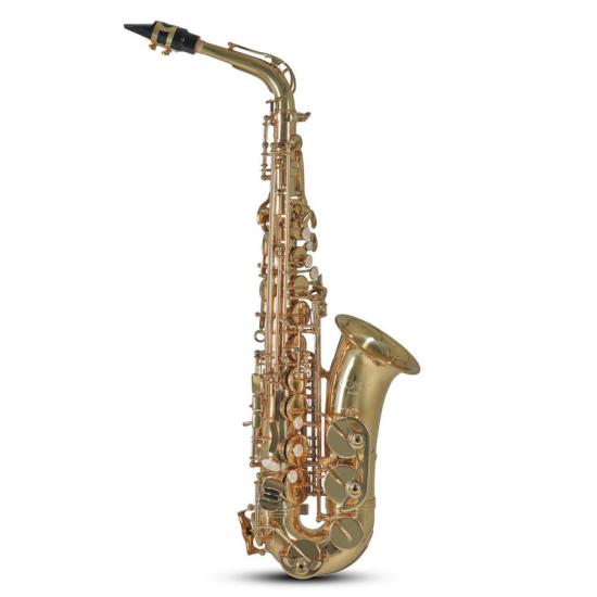 Conn AS501 - Saxophone alto avec étui sac à dos