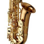 Yanagisawa A-WO2 PROFESSIONAL - Saxophone Alto - Bronze verni