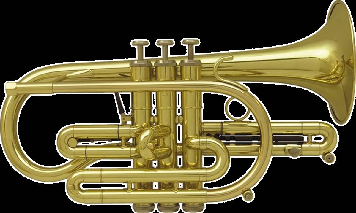 Getzen Eterna 800 Sib verni