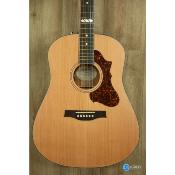 Guitare electro-acoustique Godin Metropolis limited