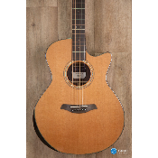 Furch Yellow Deluxe série Grand CW CR LRB1