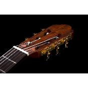 Pack Prodipe Primera 4/4 - Guitare classique + housse, repose pied, stand, accordeur