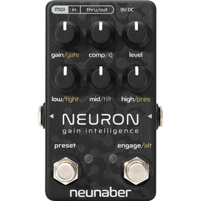 Neunaber Neuron