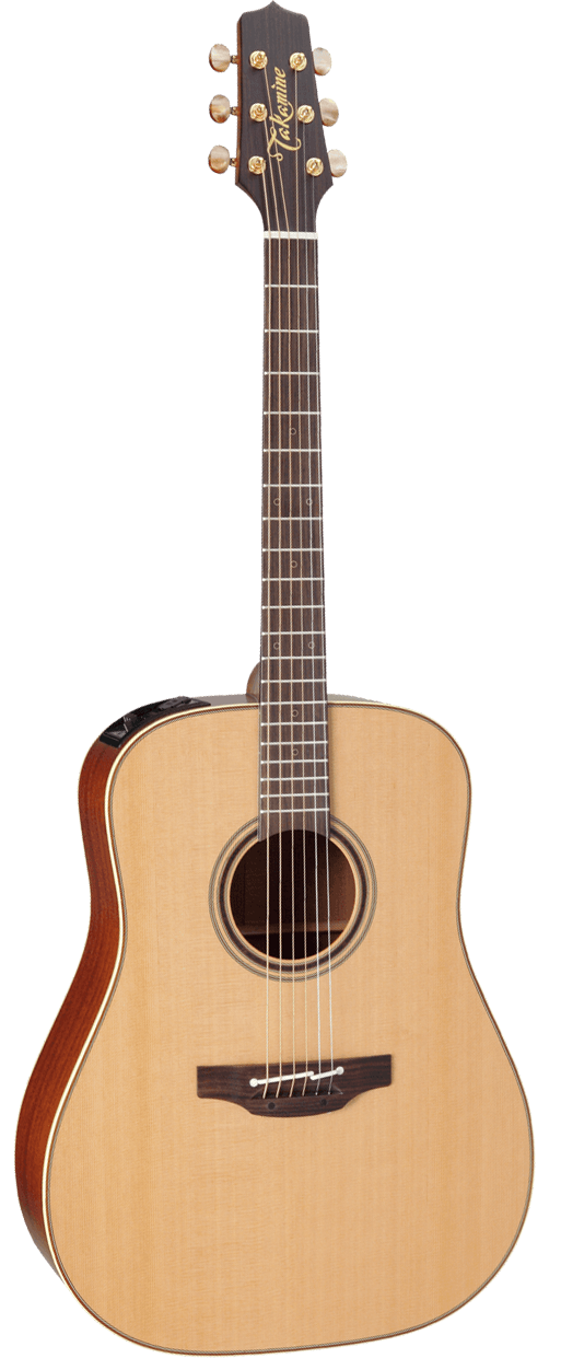 Takamine P3D