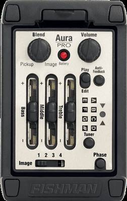 Fishman PRO-MAT-P81 - aura pro format large
