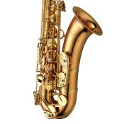 Yanagisawa T-WO2 PROFESSIONAL - Saxophone ténor bronze verni, avec étui et bec complet