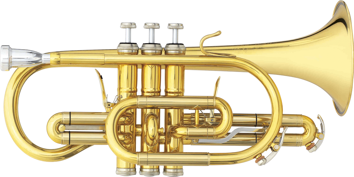 B&S 3142/2-GL Brochon - cornet Sib - verni