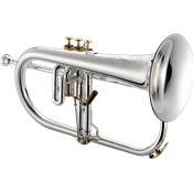 XO XO1646RG Bugle Professionnel Plaqué Argent, finitions plaquées Or - Pavillon cuivre rose