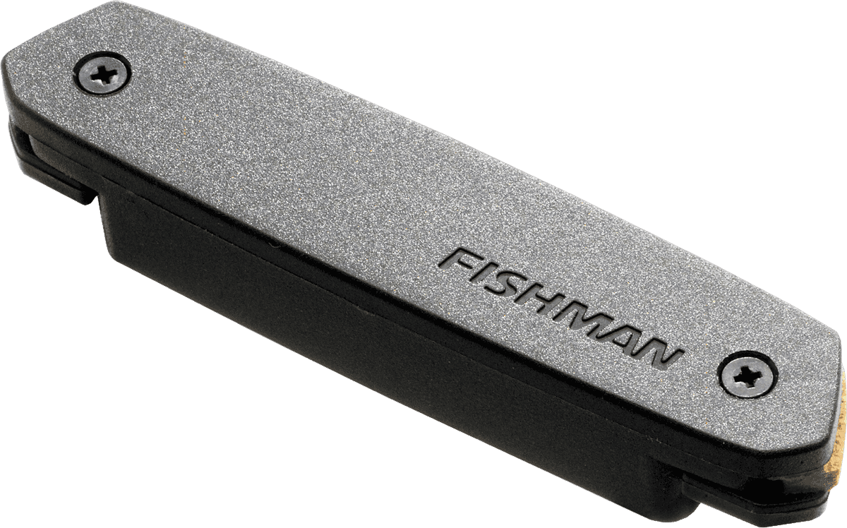 Fishman PRO-NEO-D01 - simple bobinage