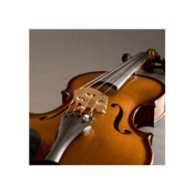 Fishman PRO-V40-0VI - v-400 série viola