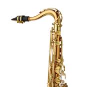 Yanagisawa T-WO2 PROFESSIONAL - Saxophone ténor bronze verni, avec étui et bec complet