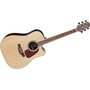 Takamine GD93CE-NAT