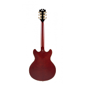 D'ANGELICO Excel DC Viola