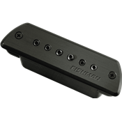 Fishman PRO-BLK-STK - rosace double bobinage passif