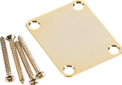 4-Bolt Vintage Neck Plate Plain (No Serial Number or Logo) (Gold)