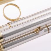 COURTOIS BELLECOUR - Cornet Sib verni