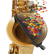 BG ACSB - Filtre anti-confettis pour saxophone baryton