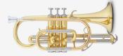 COURTOIS BELLECOUR - Cornet Sib verni