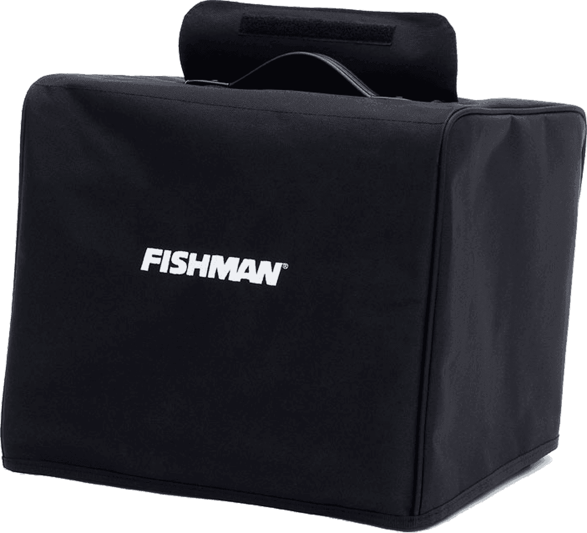 Fishman LBX-SC1 - loudbox artist